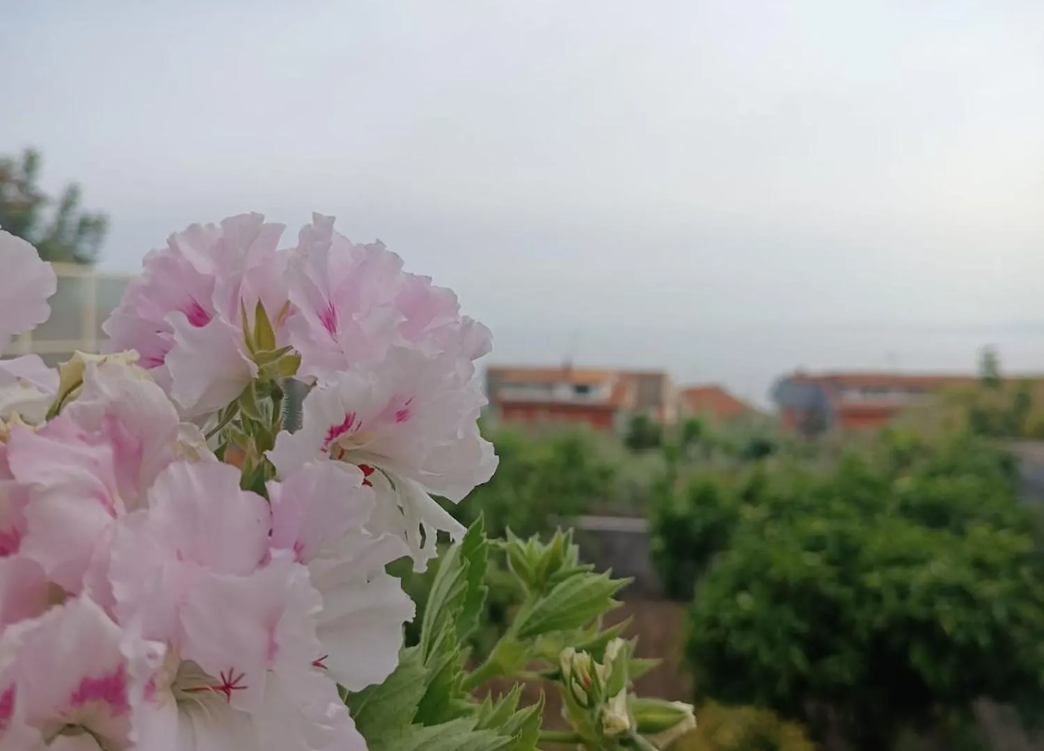 Holiday home Mosa House Villa Aci Castello